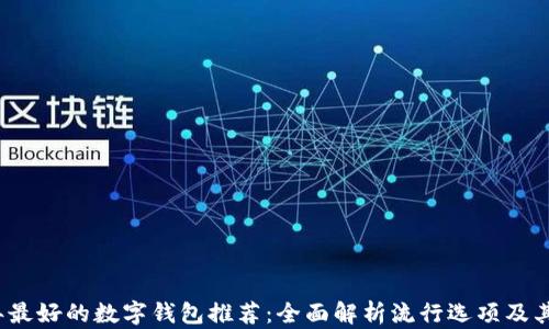 2023年最好的数字钱包推荐:全面解析流行选项及其优缺点