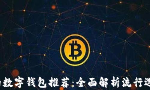 2023年最好的数字钱包推荐:全面解析流行选项及其优缺点