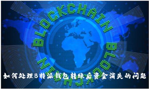如何处理B特派钱包转账后资金消失的问题