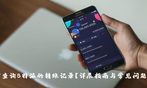 如何查询B特派的转账记录?详尽指南与常见问题解析