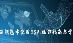 如何在B特派钱包中使用