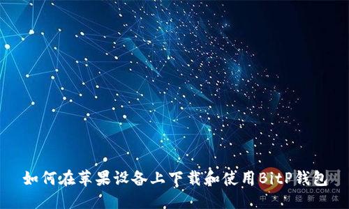 如何在苹果设备上下载和使用BitP钱包
