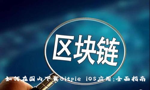 如何在国内下载Bitpie iOS应用：全面指南