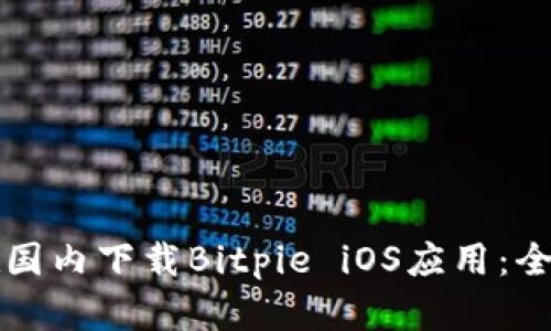 如何在国内下载Bitpie iOS应用：全面指南