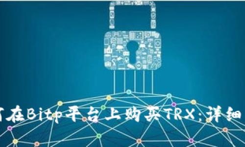 如何在Bitp平台上购买TRX:详细指南