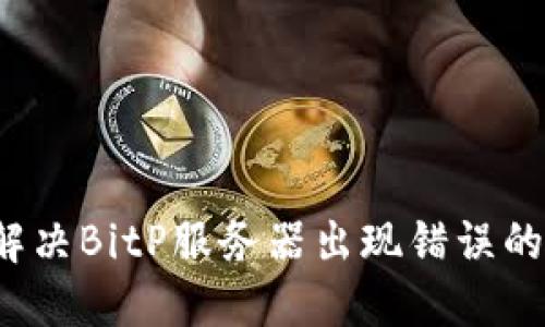 如何解决BitP服务器出现错误的问题？