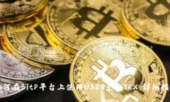 如何在BitP平台上使用USD