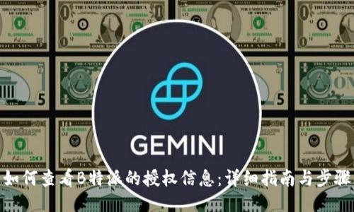 如何查看B特派的授权信息:详细指南与步骤