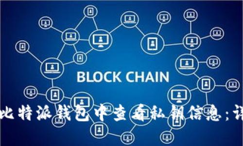 如何在比特派钱包中查看私钥信息：详细指南