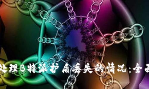 如何处理B特派护盾丢失的情况:全面指南
