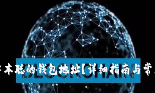 如何找到中本聪的钱包地址?详细指南与常见问题解答