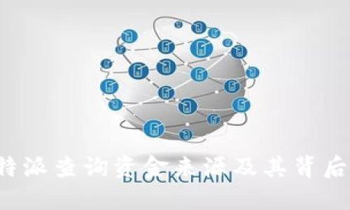 如何通过B特派查询资金来源及其背后的风险控制