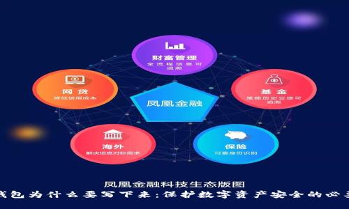 冷钱包为什么要写下来:保护数字资产安全的必要性
