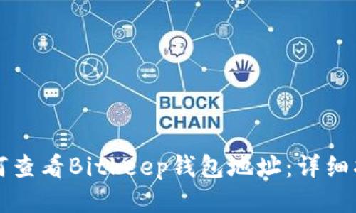 如何查看Bitkeep钱包地址:详细指南