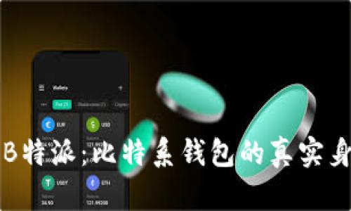 深入探讨B特派:比特系钱包的真实身份与功能