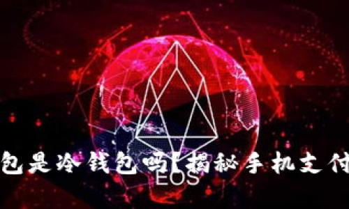 : 手机自带的钱包是冷钱包吗?揭秘手机支付安全背后的真相