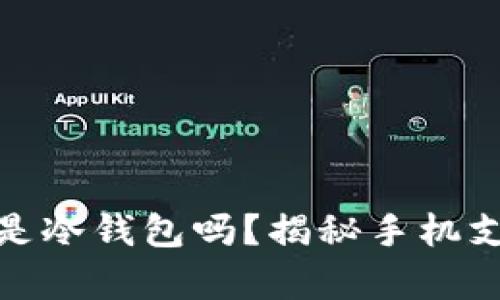 : 手机自带的钱包是冷钱包吗?揭秘手机支付安全背后的真相