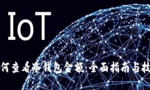 如何查看冷钱包金额:全面指南与技巧