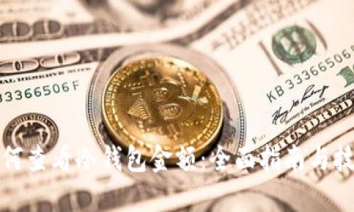 如何查看冷钱包金额:全面指南与技巧