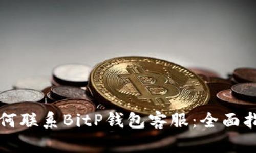 如何联系BitP钱包客服:全面指南