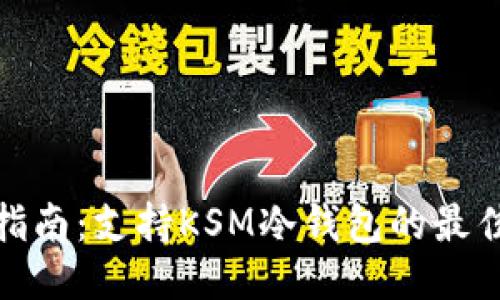 最全指南:支持KSM冷钱包的最佳选项