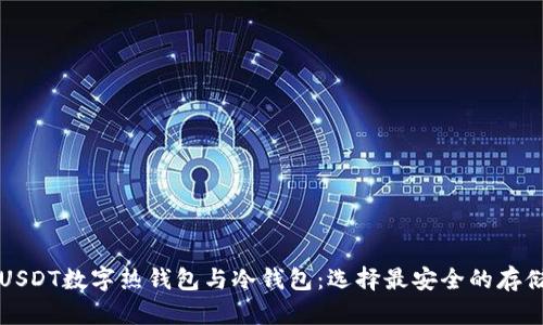 详解USDT数字热钱包与冷钱包：选择最安全的存储方案
