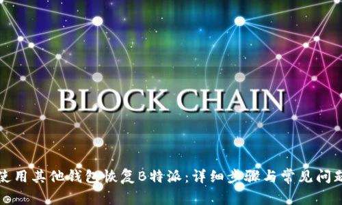 如何使用其他钱包恢复B特派：详细步骤与常见问题解析
