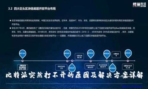 比特派突然打不开的原因及解决方案详解