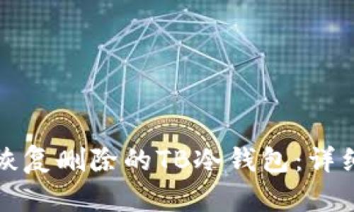 如何恢复删除的TB冷钱包：详细指南
