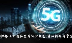 如何在iOS设备上下载和使
