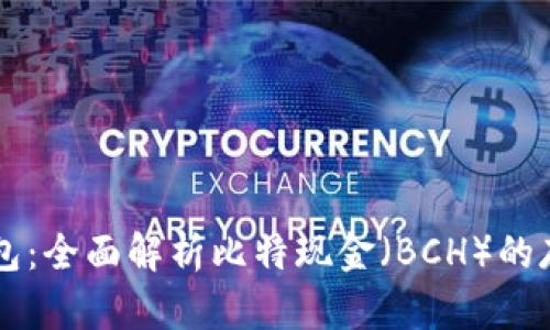 比特派钱包:全面解析比特现金(BCH)的存储和使用