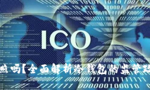冷钱包需要牌照吗?全面解析冷钱包的监管政策与法律适用