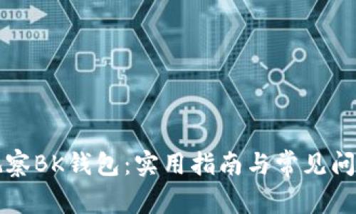 如何观察BK钱包:实用指南与常见问题解析