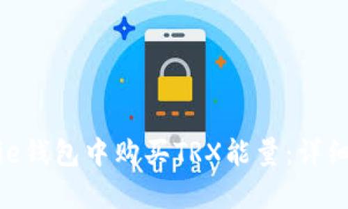 如何在Bitpie钱包中购买TRX能量:详细步骤与指南