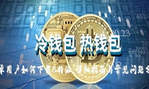 安卓用户如何下载B特派:详细指南与常见问题分析