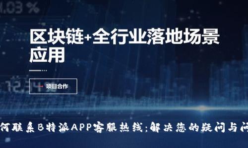 如何联系B特派APP客服热线:解决您的疑问与问题