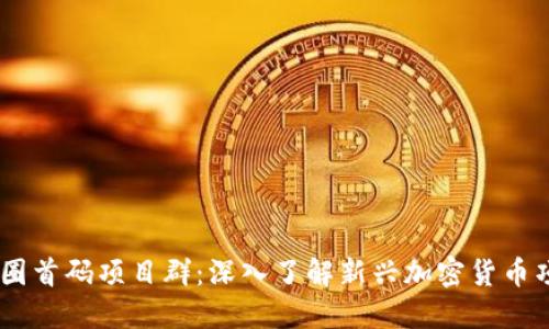币圈首码项目群：深入了解新兴加密货币项目