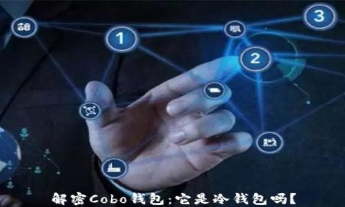 
解密Cobo钱包：它是冷钱包吗？