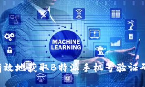 如何安全有效地获取B特派手机号验证码：全面指南