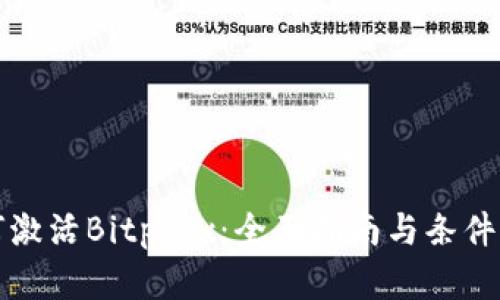 如何激活Bitptrx:全面指南与条件解析