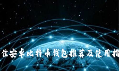 最佳安卓比特币钱包推荐及使用指南