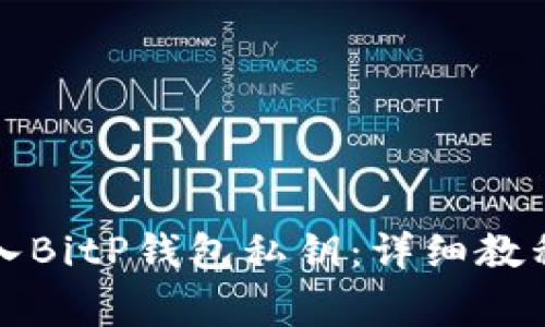 如何在手机上导入BitP钱包私钥：详细教程与常见问题解答