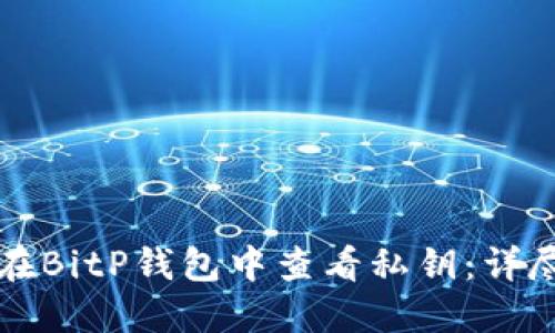 如何在BitP钱包中查看私钥：详尽指南