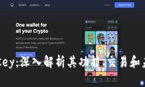 虚拟币Key：深入解析其功能、交易和未来发展