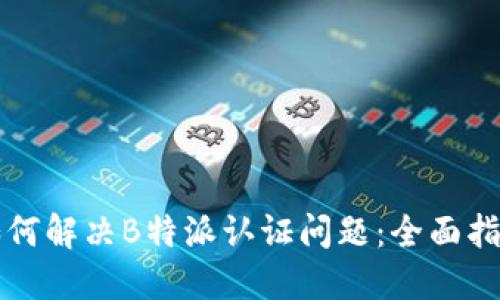 如何解决B特派认证问题：全面指南