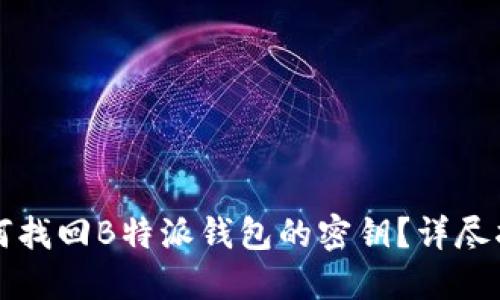 如何找回B特派钱包的密钥？详尽指南