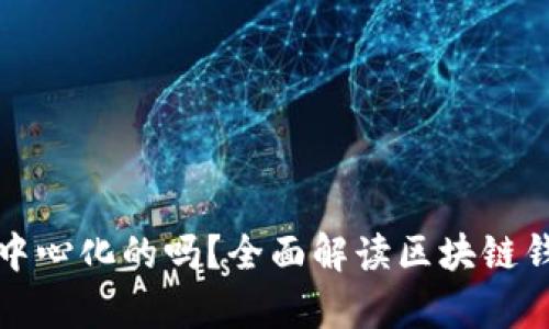 比特派是去中心化的吗？全面解读区块链钱包的利与弊