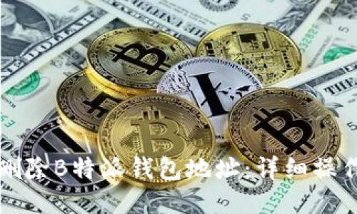 如何删除B特派钱包地址:详细操作指南