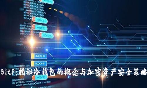 BitP：揭秘冷钱包的概念与加密资产安全策略