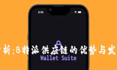 深入分析：B特派供应链的优势与发展前景